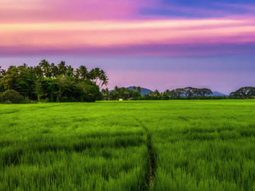 Anuradhapura Day Tour: Explore Ancient Ruins in Sri Lanka