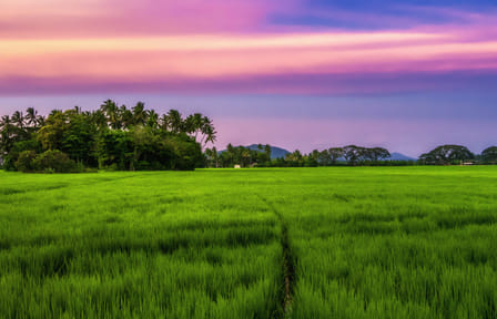 Anuradhapura Day Tour: Explore Ancient Ruins in Sri Lanka