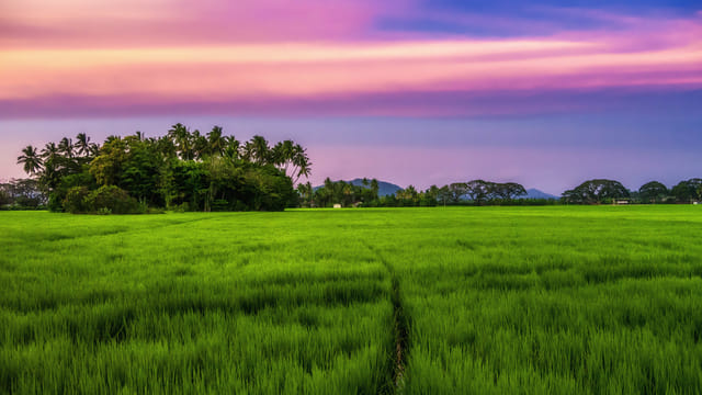 ANURADHAPURA DAY TOUR 