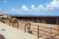 Entrance Ticket for Camel Park Sunny Beach