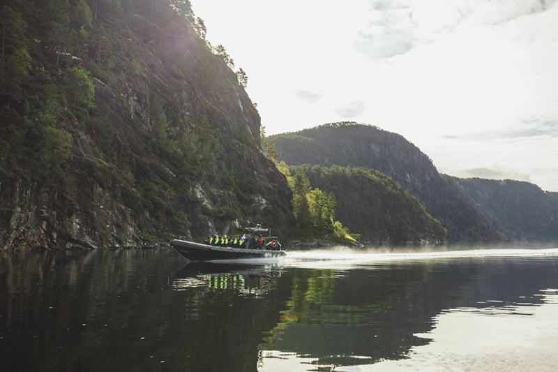 Mostraumen Fjord Safari - by Premium RIB Boat