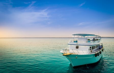 Snorkeling Adventure at Dolphin House Reefs in Hurghada
