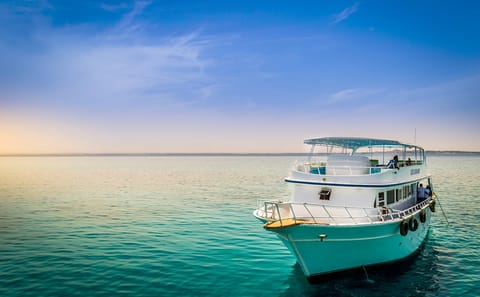 Snorkeling Adventure at Dolphin House Reefs in Hurghada