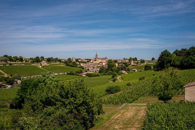 Saint Emilion Wine Tour by E-Bike- Bordeaux Pick up and drop off - Photo 3