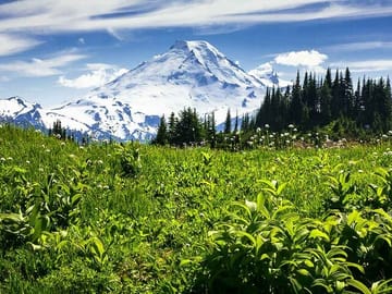Full-Day Mt. Baker and Cascades Tour from Seattle