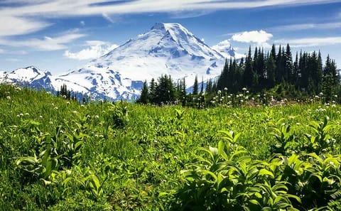 Full-Day Mt. Baker and Cascades Tour from Seattle