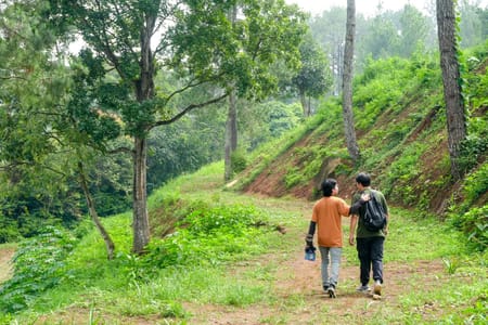 Hiking Adventure to Mt. Longonot: Explore Crater and Scenic Views