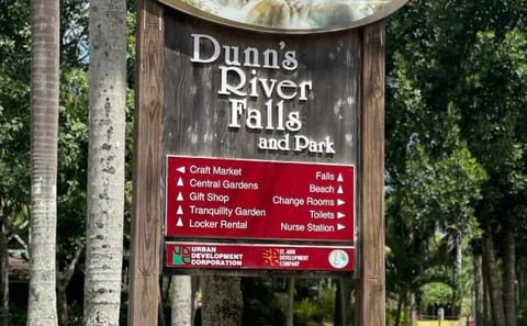 Dunns River Falls and Blue Hole Combo