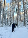 Winter Wonderland Hike in a National Park 8