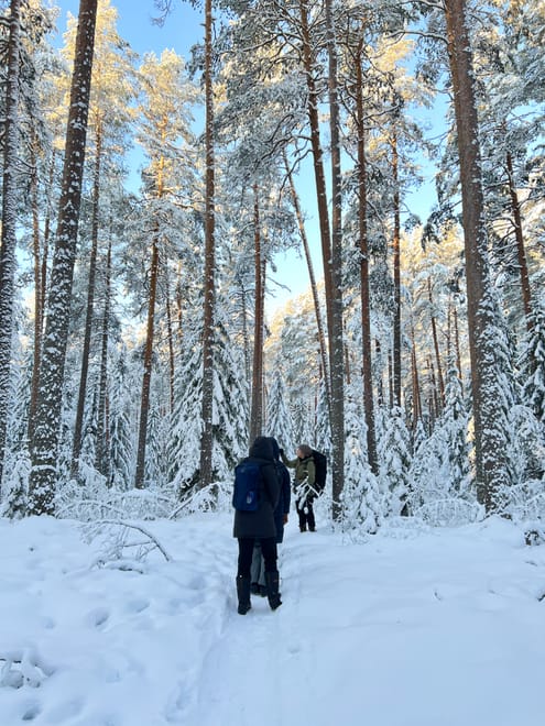 Winter Wonderland Hike in a National Park 8
