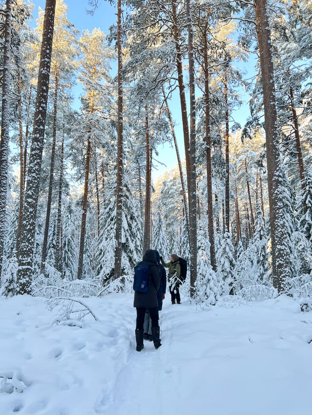 Winter Wonderland Hike in a National Park 8