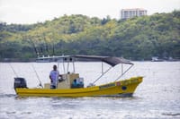 Costa Rica Playa Flamingo Private Fishing Full Day 8 Hours 8
