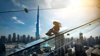 Sky View Glass Slide Dubai Tour with Private Transfers 4