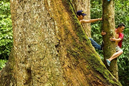 Full-day Cuc Phuong National Park Eco-adventure