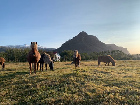 Mountain & Ocean Tour, photo 7