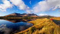 Castles of Connemara Tour Departing from Galway City. Private Guided.	 6