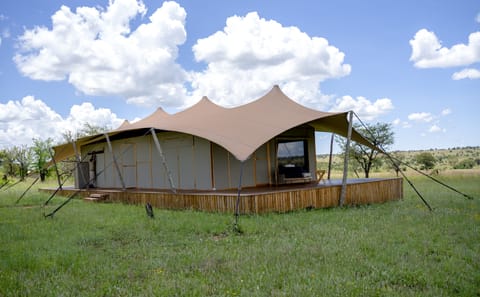Luxury Tent Experience in Anantya Serengeti, Tanzania
