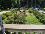 <p>The Gardens</p>
