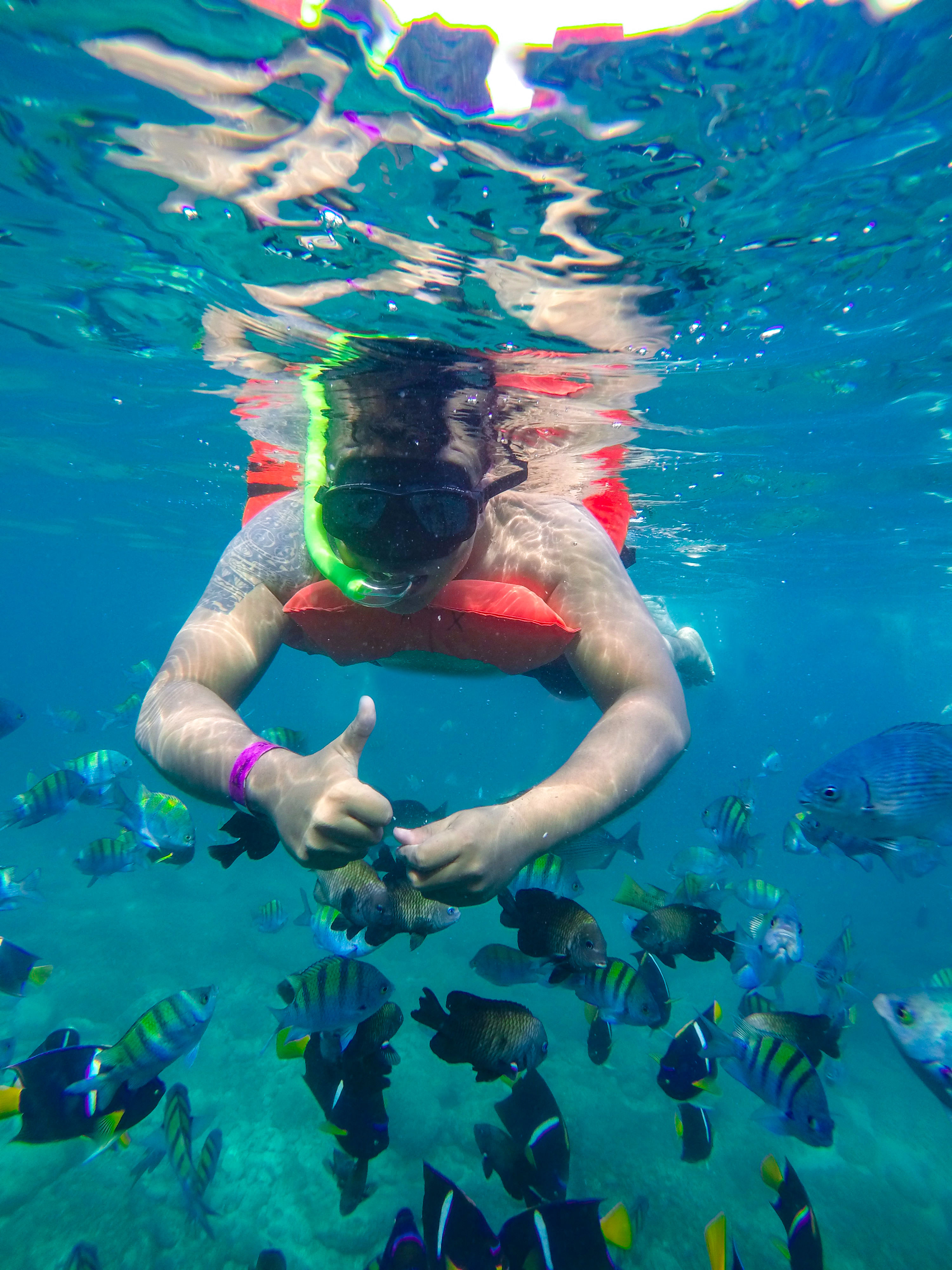 Islas Marietas & BBQ lunch at Majahuitas