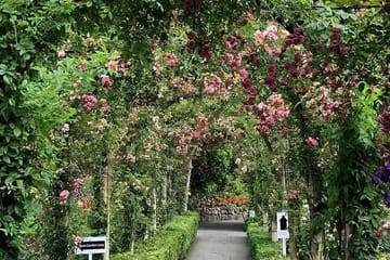 Private 2-Day Tour of Vancouver, Whistler, and Victoria