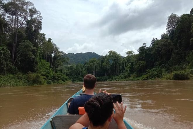 Taman Negara National Park Trekking Day Tour (SIC - Join In Tour) 2