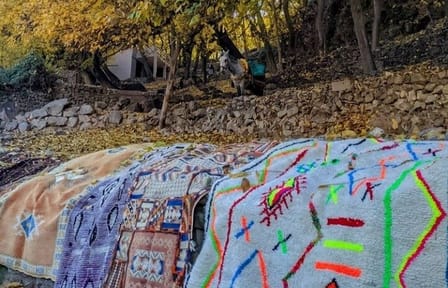 Marrakech: Atlas Mountains, Imlil Valley & Waterfalls Tour