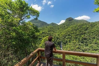 Private 6-hour Hiking Tour In The Tijuca Rainforest – Waterfalls & Viewpoints