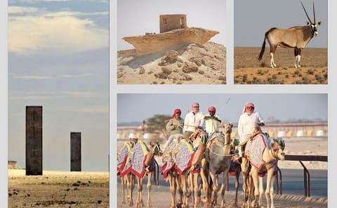 Cultural Tour of Richard Serra Sculpture and Mushroom Rock in Doha