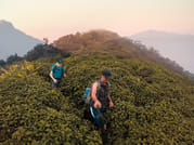 Highlight Sri Lanka - 4N/5D 9