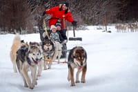 Winter in Ushuaia: Snowshoes, Snowmobile and Sleigh Rides 1
