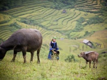 3-Day Adventure Tour to Mu Cang Chai Rice Fields from Hanoi