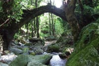 Tsagarada, Pelion