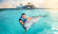 Dolphin Encounter en Isla Mujeres 2