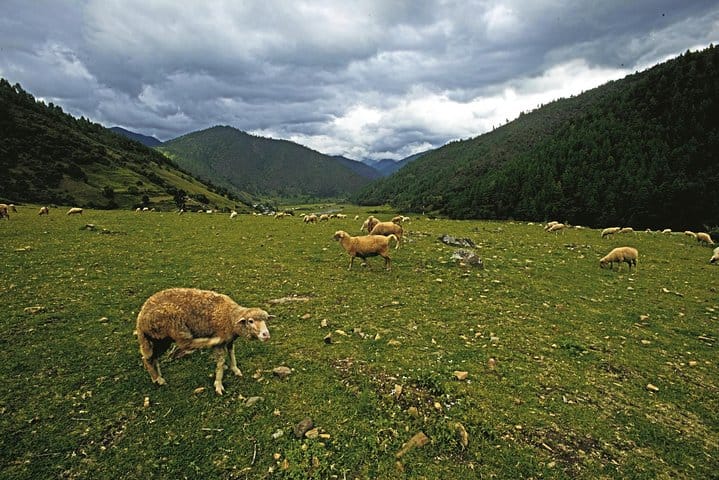 Assam & Arunachal The Buddhist Monasteries & Tribal Culture Tour