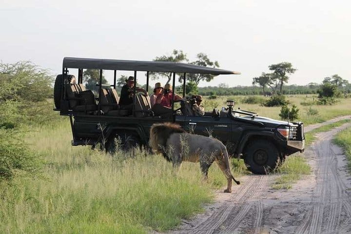 Things to do in Zimbabwe