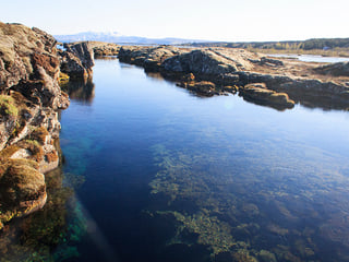 Self drive: Drysuit Snorkeling in Silfra - with underwater photos, photo 11