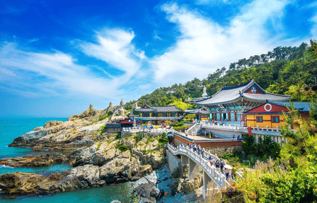 Private Busan Tour to Haedong Yonggungsa Temple and Hidden Gems
