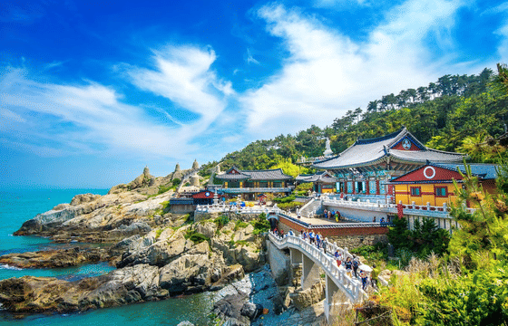Busan Hidden Gems Private Tour and Car Service