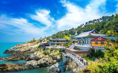 Private Busan Tour to Haedong Yonggungsa Temple and Hidden Gems