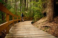 Puerto Blest Sightseeing Cruise and Waterfalls Hike from Bariloche 3