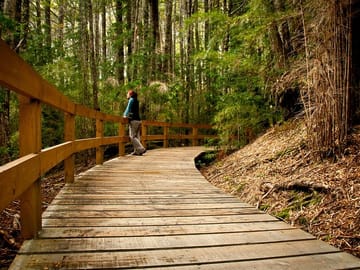 Sightseeing Cruise and Waterfalls Hike in Puerto Blest, Bariloche