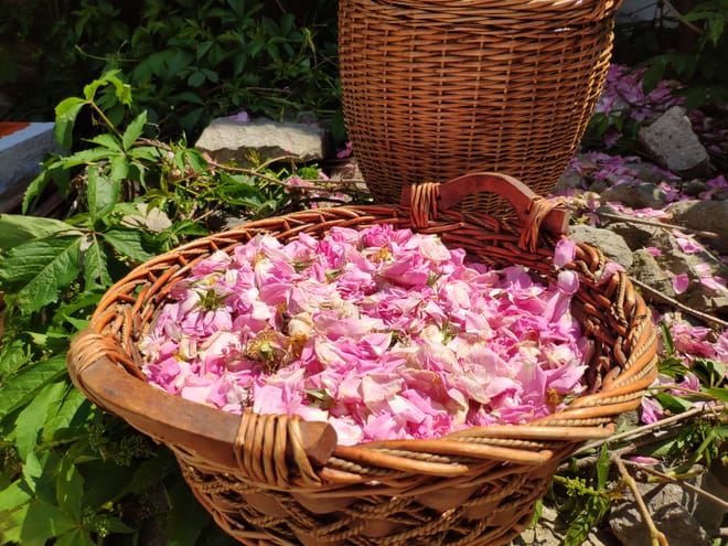 Self-Guided Tour for "Kulata" with Liqueur & Rose Jam Tasting 7