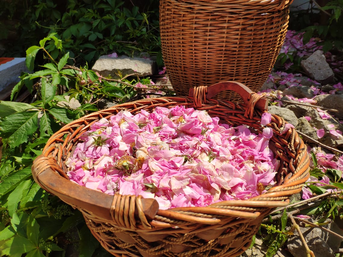 Self-Guided Tour for "Kulata" with Liqueur & Rose Jam Tasting 7