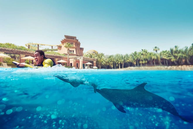 swim with dolphin in dubai