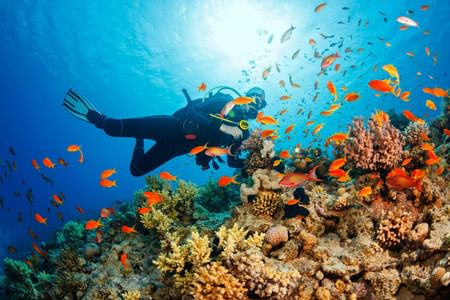 PHU QUOC: THREE ISLANDS NATURAL CORAL SNORKELING TOUR