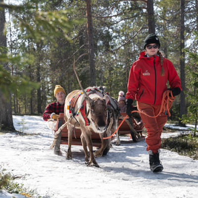 Winter Adventure Reindeer Safari in Rovaniemi, Santa Claus Village