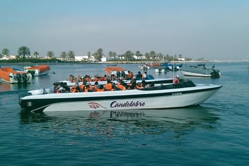 Ballestas Islands Wildlife Boat Tour from Paracas