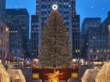 New York City Holiday Tour: Markets, Ferry & Rockettes Show