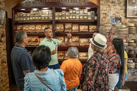 Discover Miami: Iconic Neighborhoods Tour of Little Havana, Wynwood & South Beach