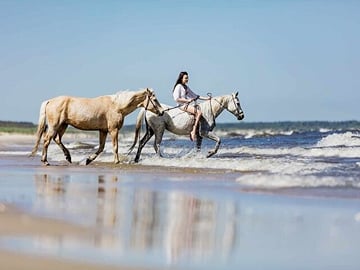 3 Hour Horse Swimming Adventure in Hurghada